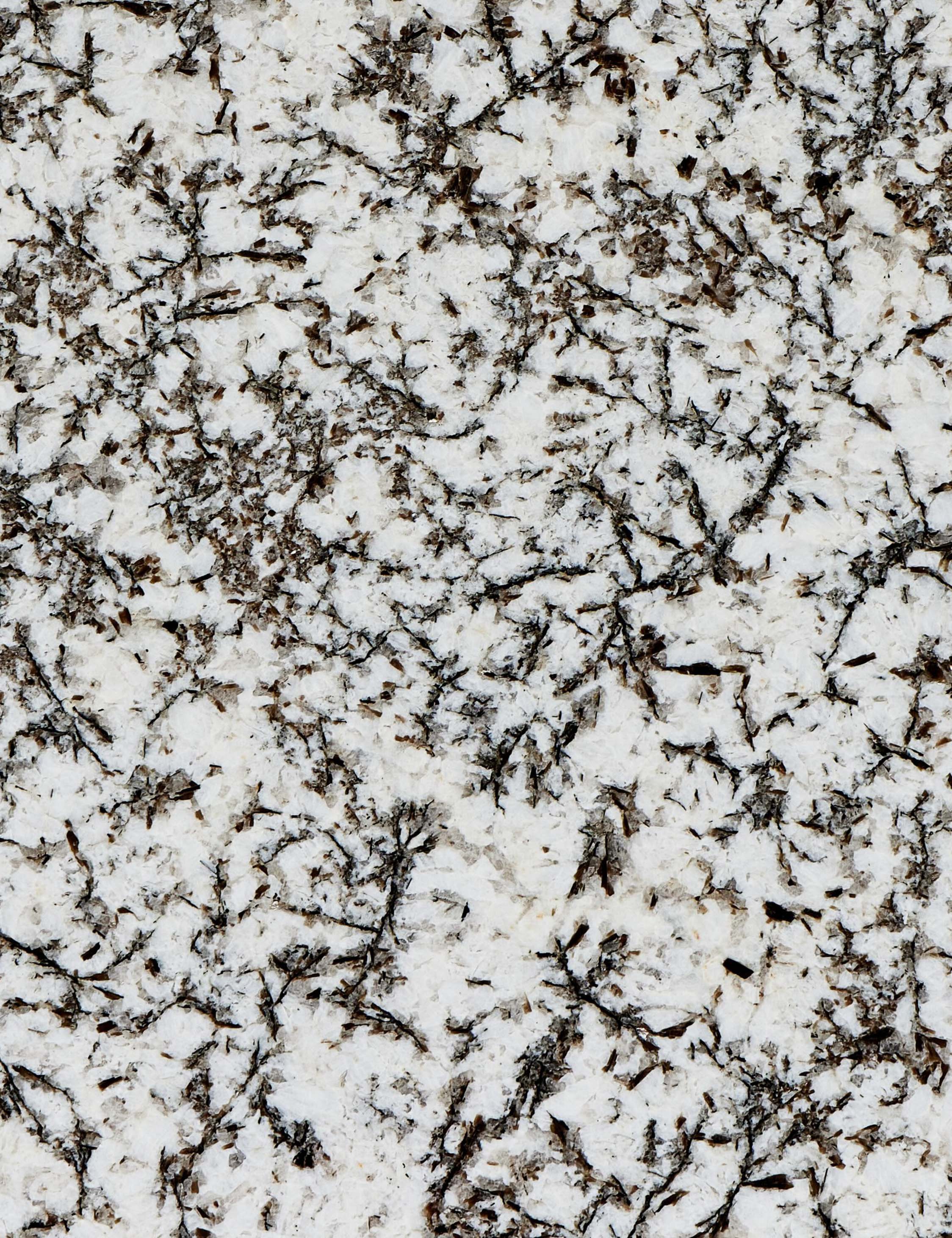 Close up of the stone of the Sumalee sculptural solid marble coffee table.