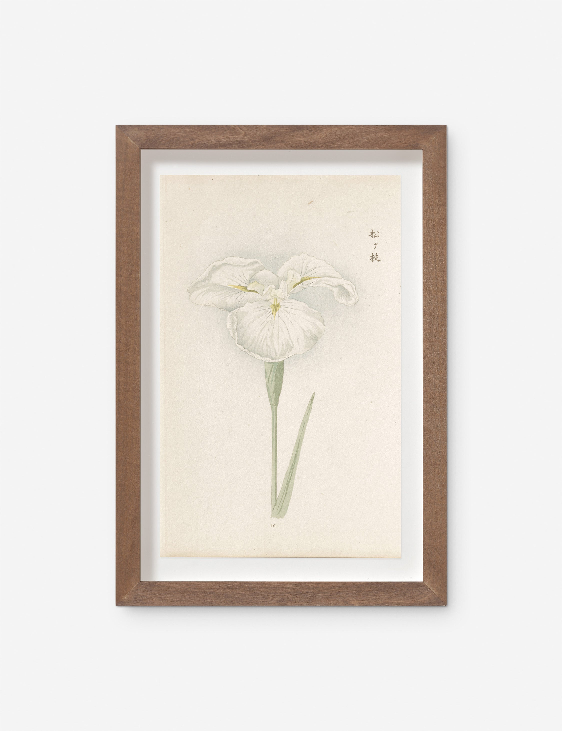 Vintage Japanese Iris No. 10 Wall Art by Miyoshi Manabu