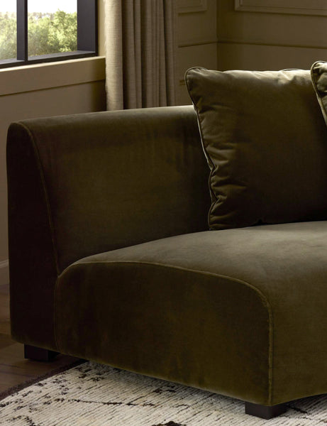 #color::olive-velvet
