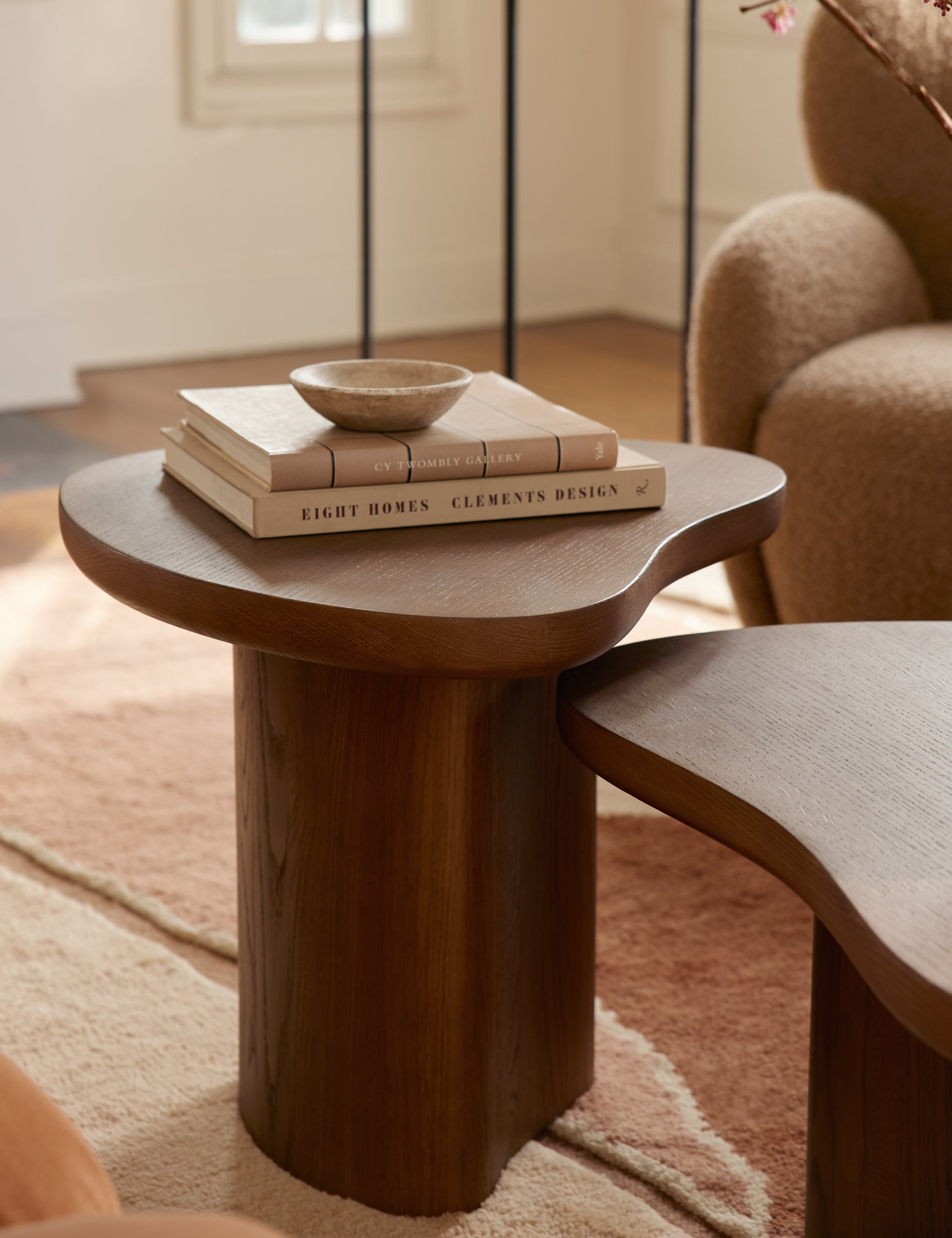 Torino sculptural dark brown nesting coffee table by Aimee Song styled with coffee table books and a catchall dish