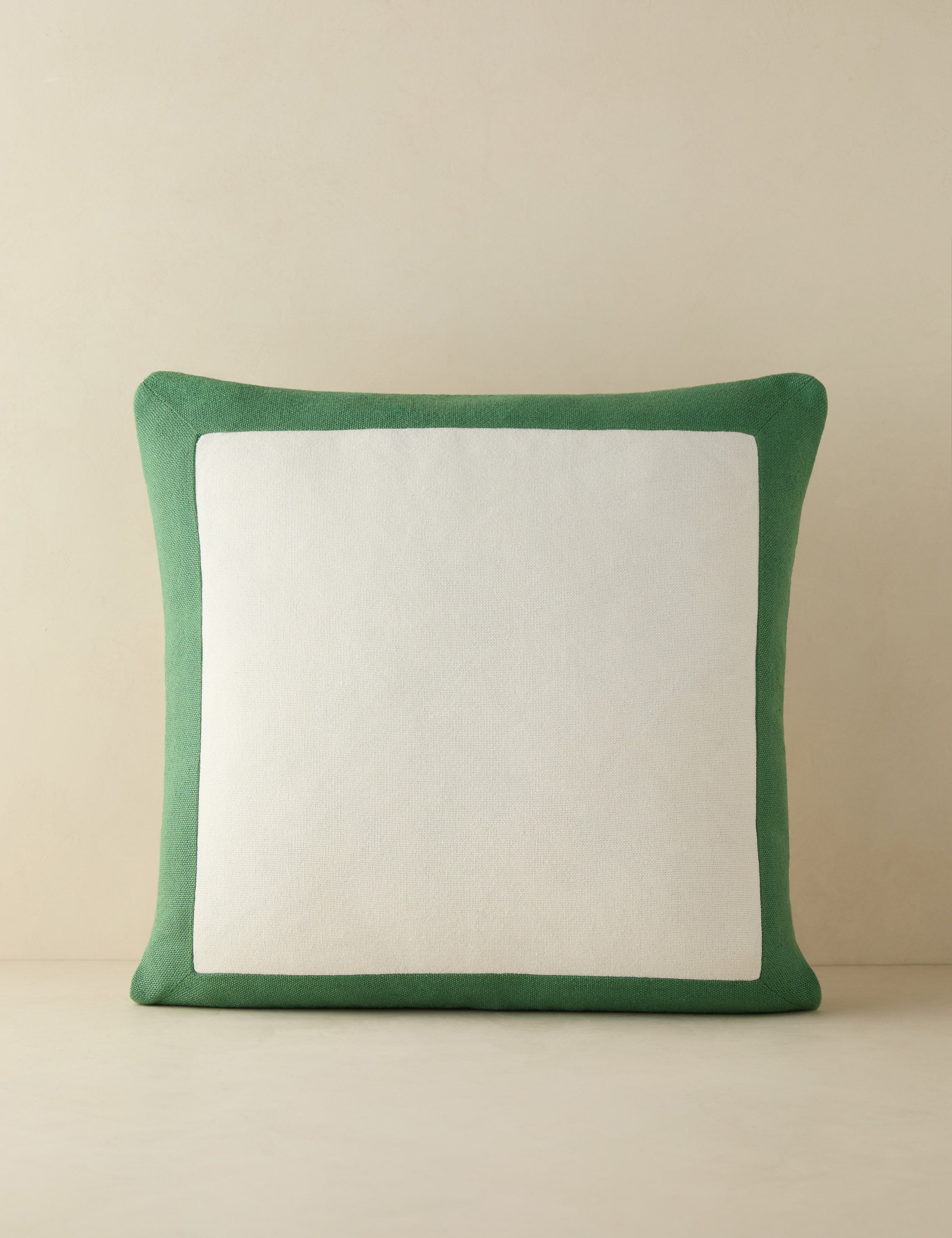 Amica color border outdoor pillow