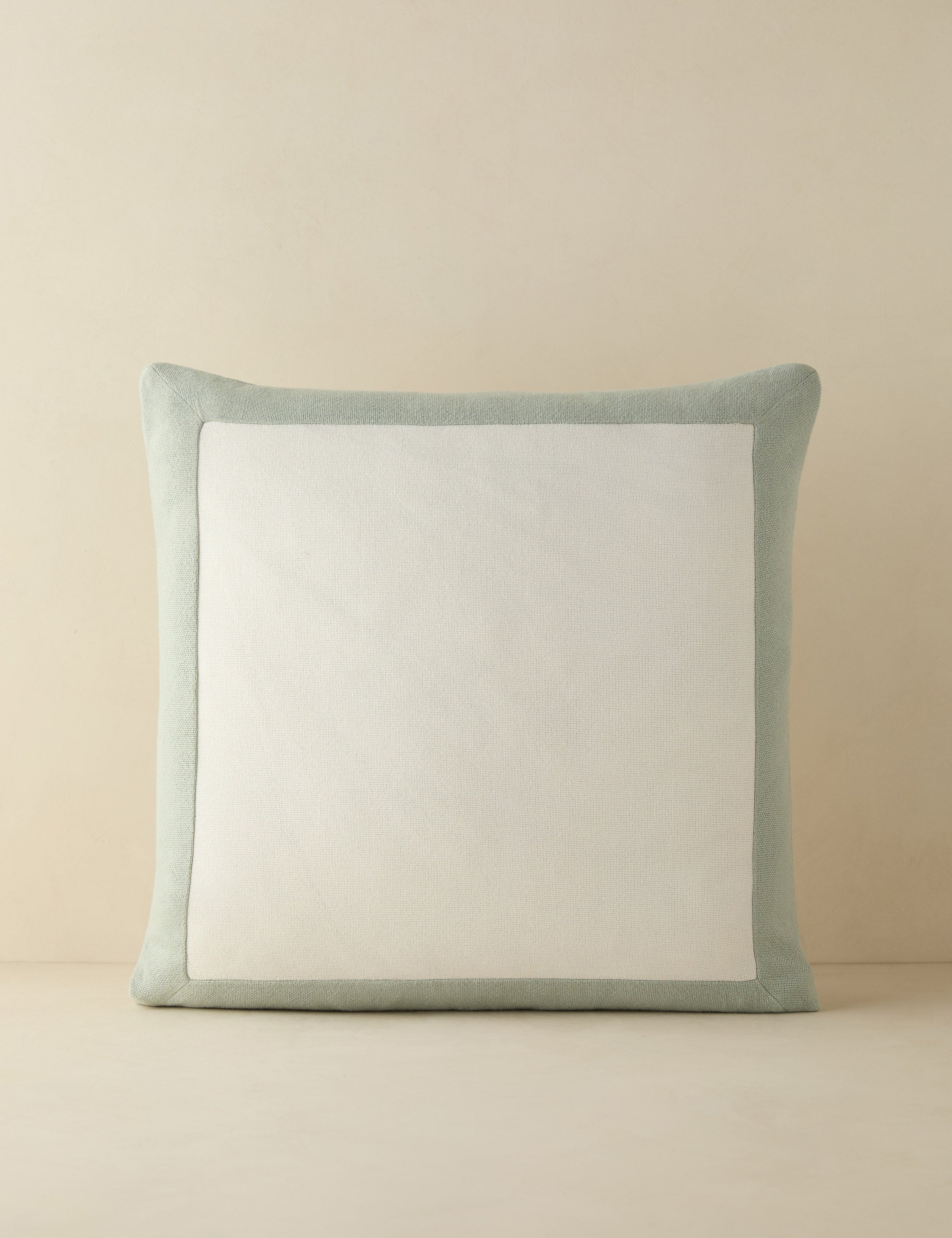 Amica color border outdoor pillow