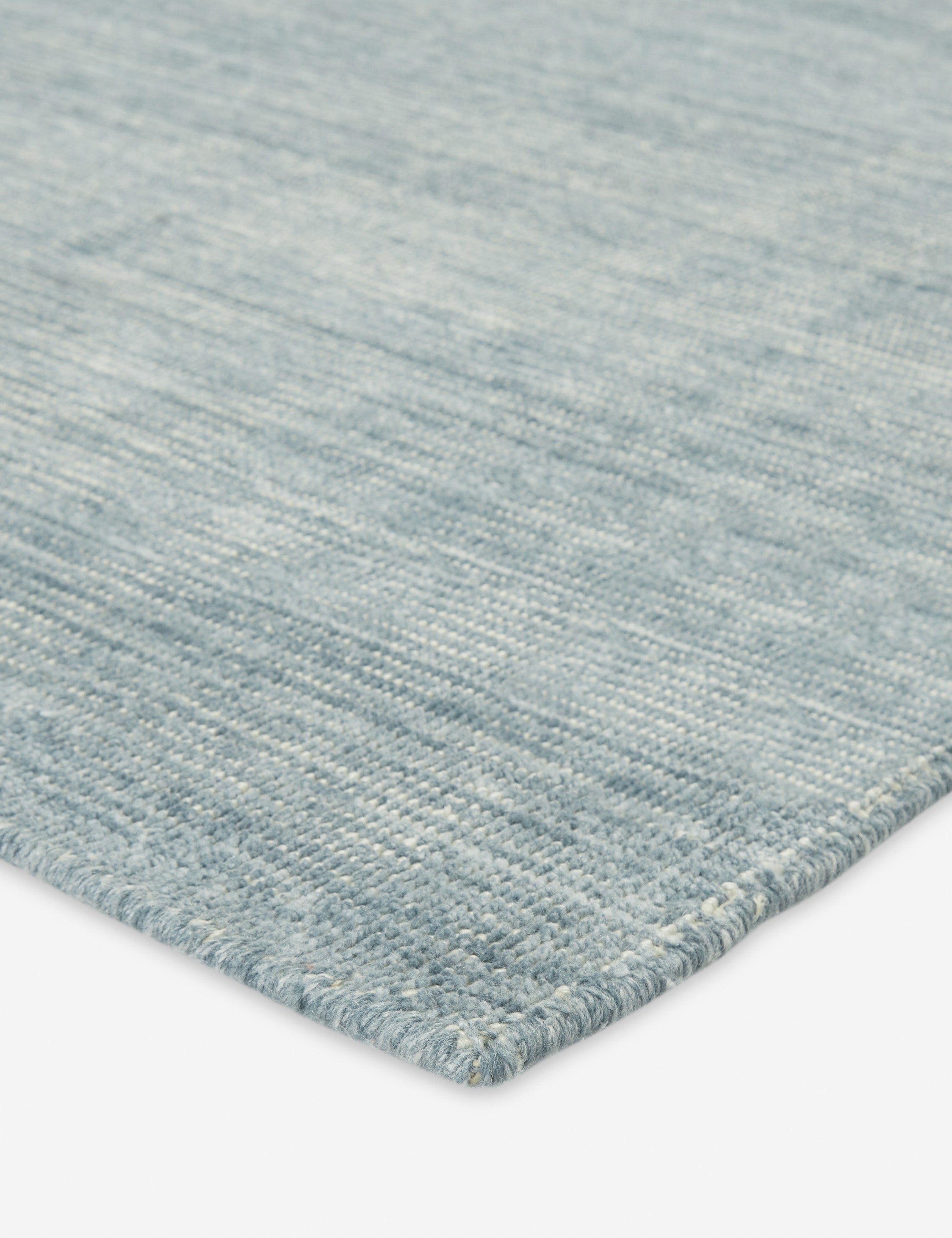 Bluma Handwoven Indoor / Outdoor Rug