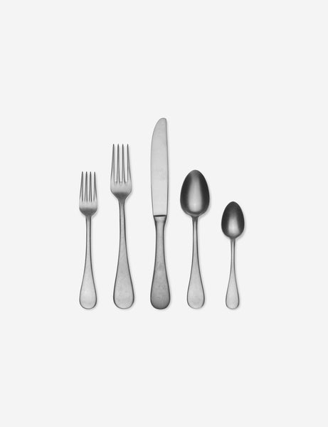 #color::stainless-steel