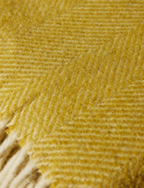 #color::mustard-herringbone